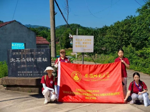安徽师范大学暑期三下乡社会实践活动：青春聚力深调研 文明实践探基层