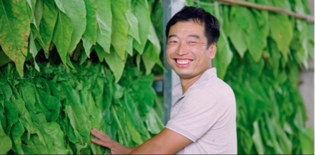 金叶筑梦四十载 丹心映照潇湘情