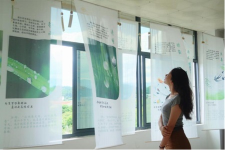 邵阳武冈烟草：“一帘一画一屏”破译廉洁文化密码