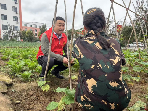 山东省临沂市费县烟草专卖局：风雨两归程 真情护童安