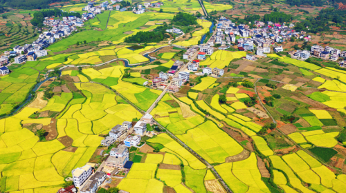 湖南嘉禾烟草：沃土新生，一根秸秆“点草成金”记