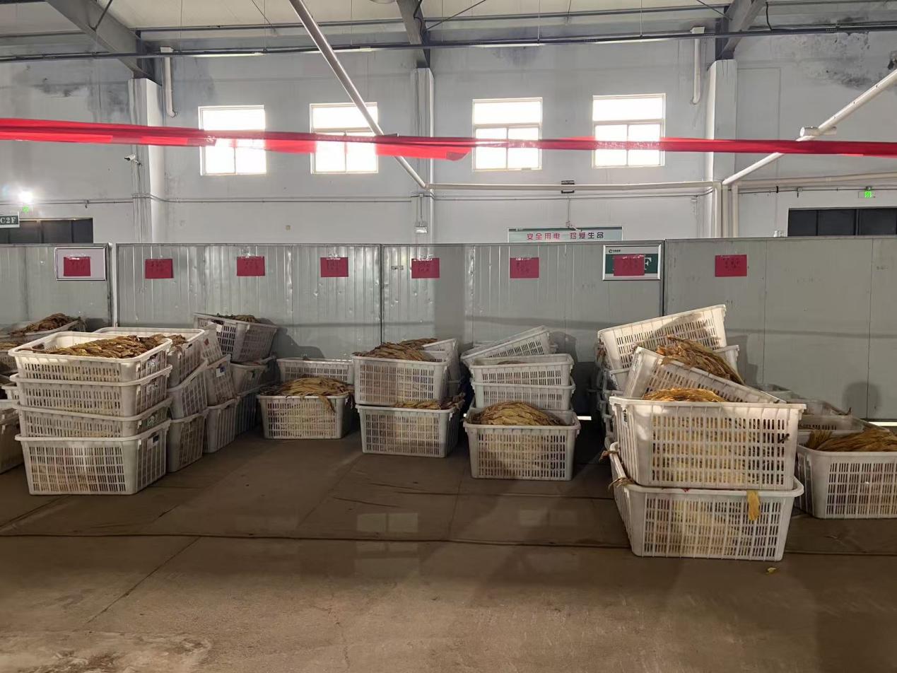 河南省三门峡市烟草：用心用情为烟农办实事 谱写乡村振兴新篇章