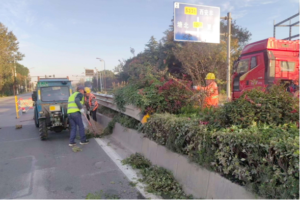 扬州市公路事业发展中心宝应分中心：秋季修剪正当时，视野通畅保安全